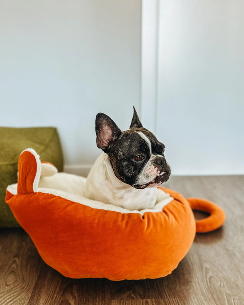 Niche en velours orange pour animaux de compagnie 50x45 cm