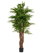 Pianta artificiale WILLOW TREE 180 cm