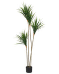 Pianta artificiale DRACAENA DRACO 165 cm Verde