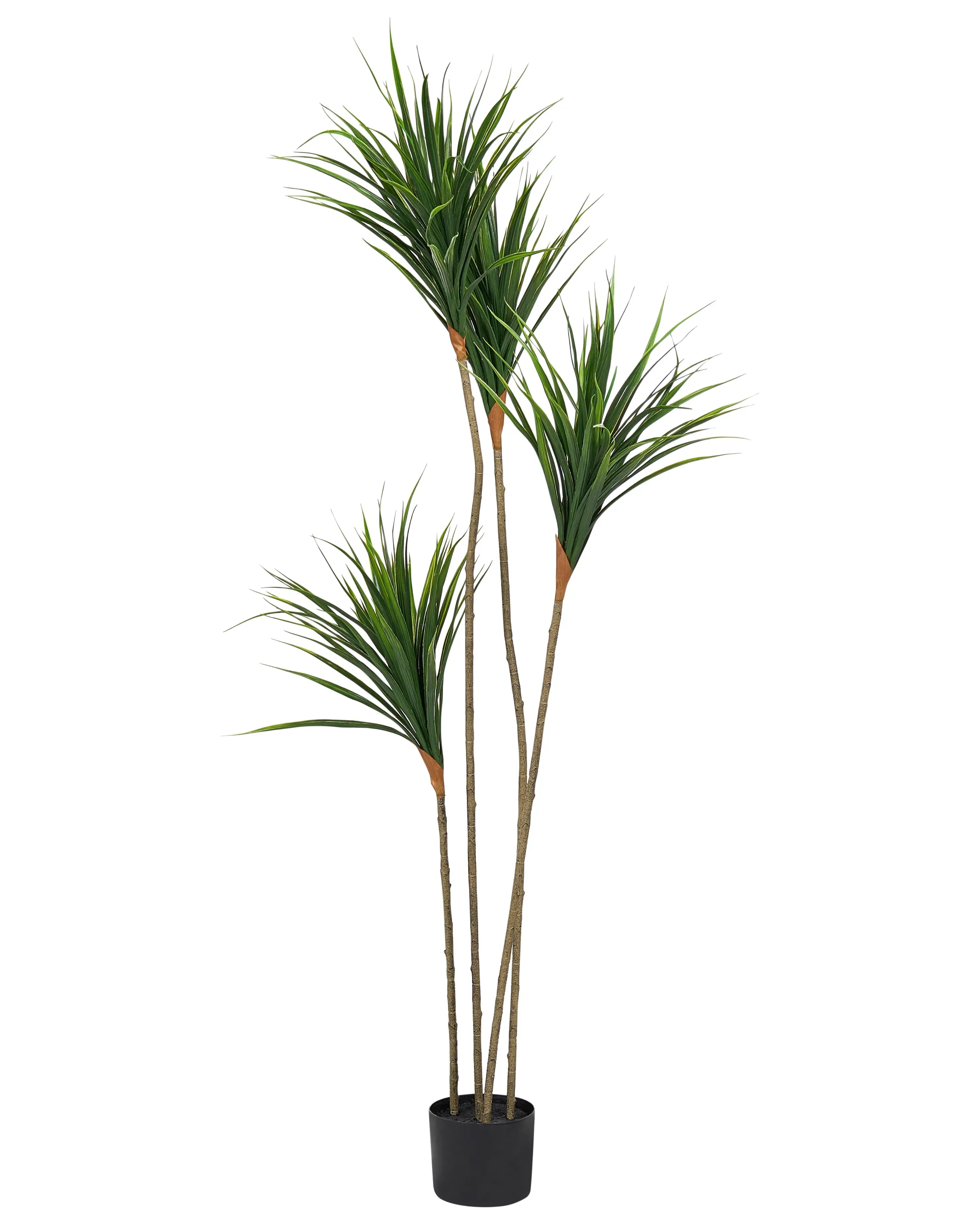 Pianta artificiale DRACAENA DRACO 165 cm Verde