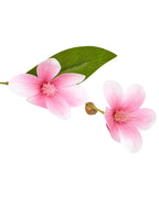 Plante artificielle magnolia 128 cm Vert