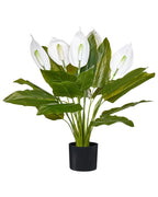 Pianta artificiale SPATHPHYLLUM 70 cm Verde