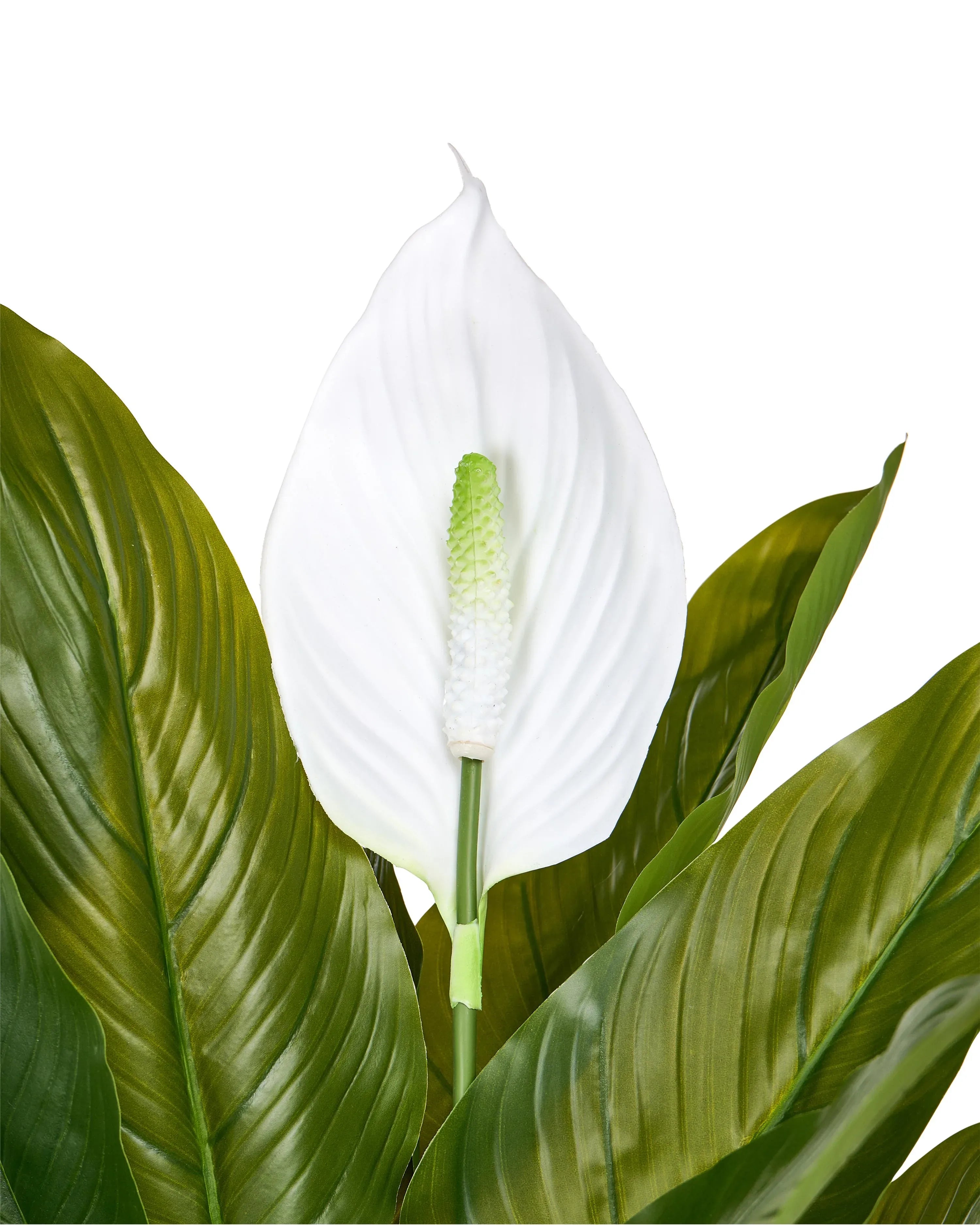 Plante artificielle Spathiphyllum 70 cm Verte