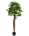 Pianta artificiale UMBRELLA TREE 175 cm Verde