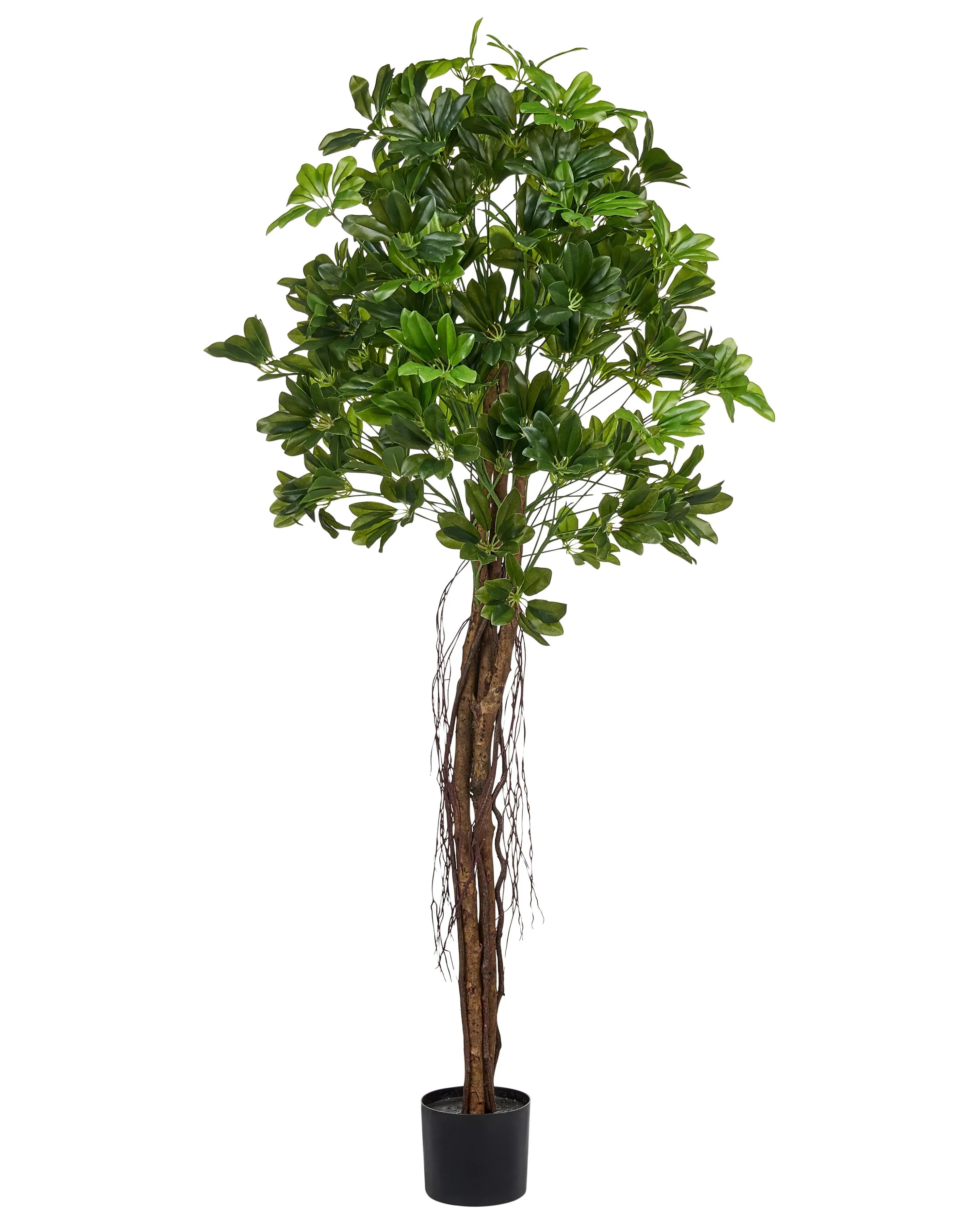 Pianta artificiale UMBRELLA TREE 175 cm Verde