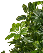 Plante artificielle ARBRE-PARAPLUIE 175 cm Vert