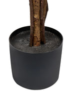 Plante artificielle ARBRE-PARAPLUIE 175 cm Vert