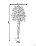 Plante artificielle ARBRE-PARAPLUIE 175 cm Vert