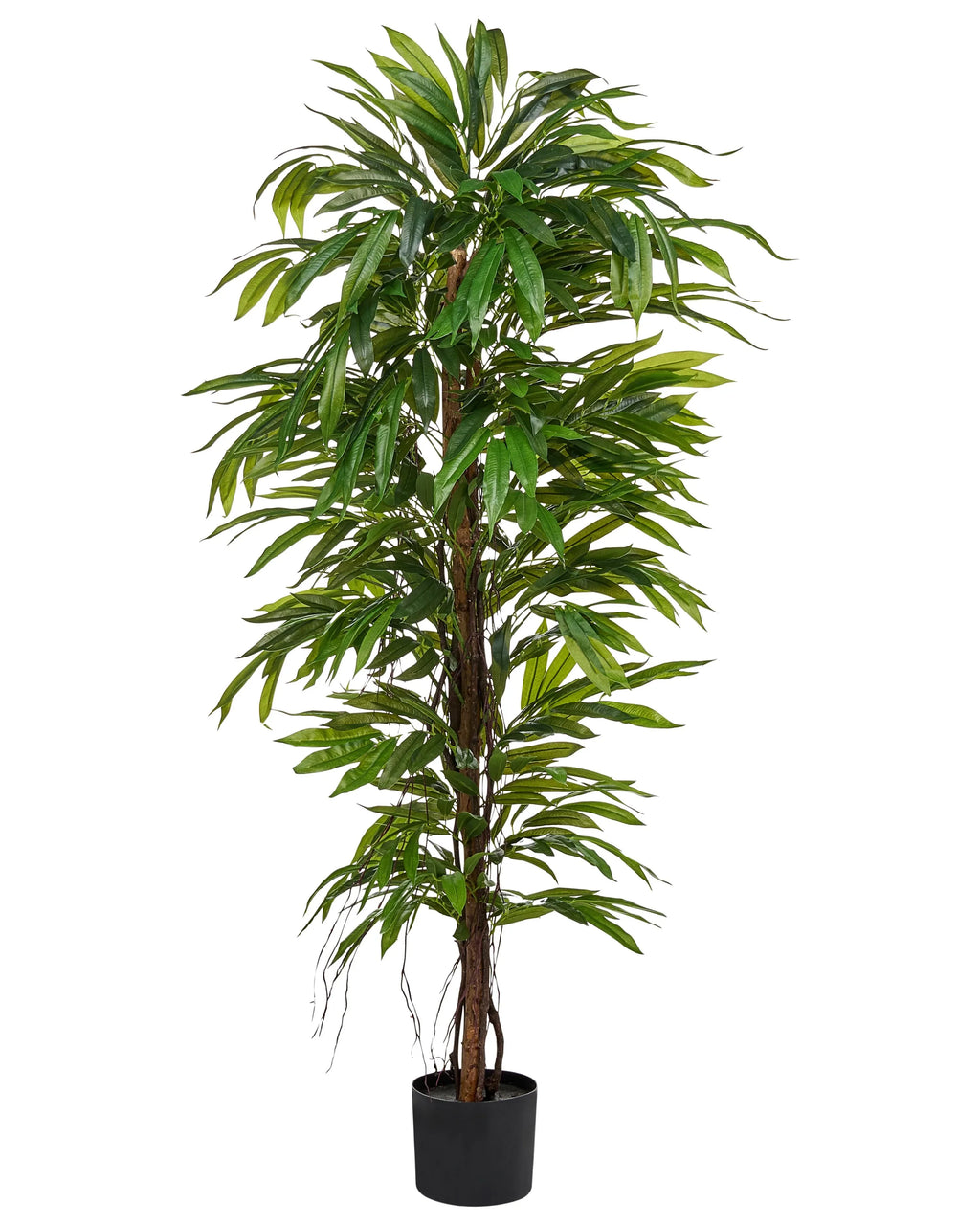 Pianta artificiale LONGIFOLIA 155 cm Verde