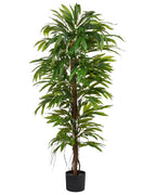 Pianta artificiale LONGIFOLIA 155 cm Verde
