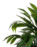 Plante artificielle longifolia 155 cm Vert