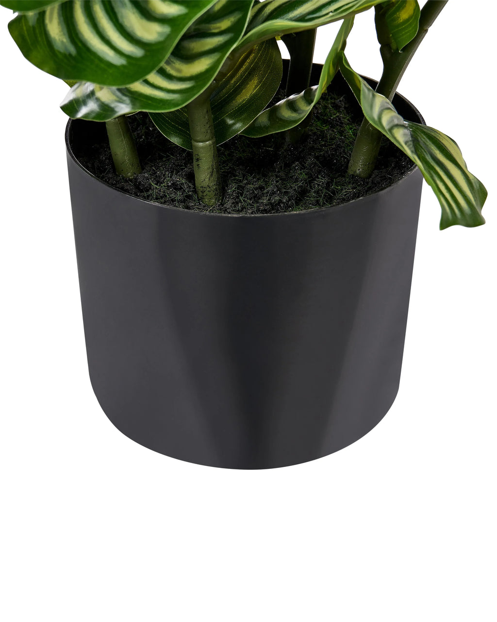 Plante artificielle orbifolia 50 cm Vert