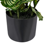 Plante artificielle orbifolia 50 cm Vert