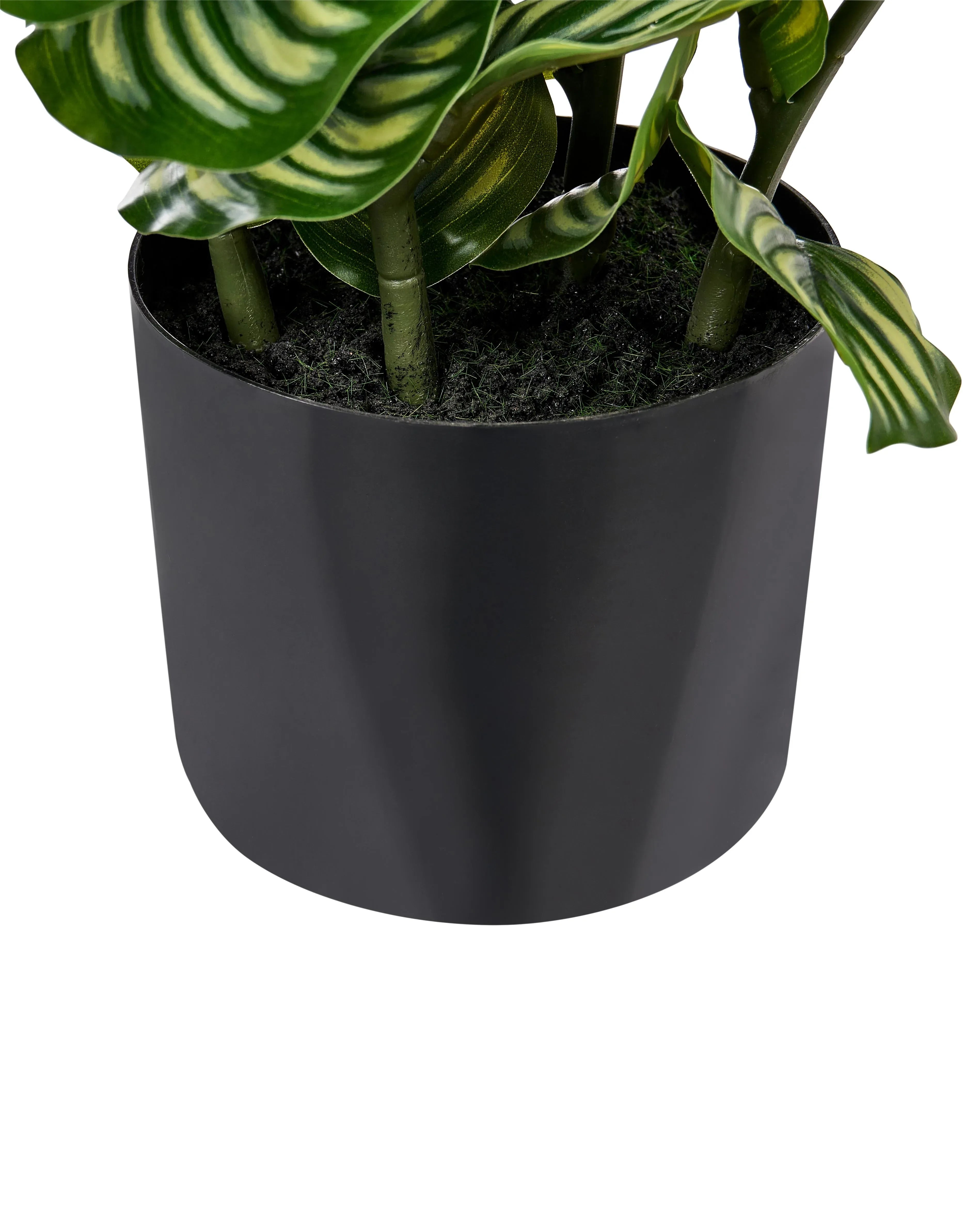 Plante artificielle orbifolia 50 cm Vert
