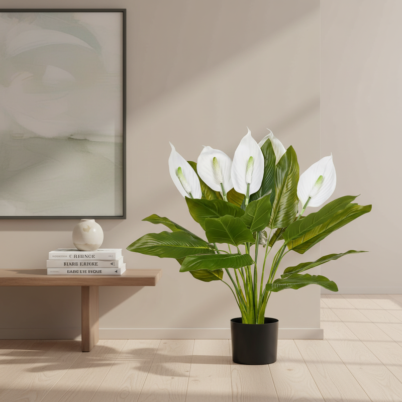 Peace Lily with Background